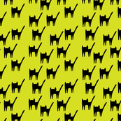 flach_meaw_olive_schwarz