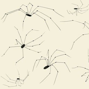 Daddy Long Legs - Beige