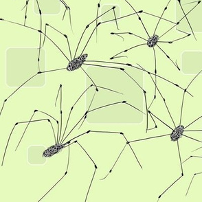 Night Crawlers