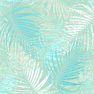 Palm