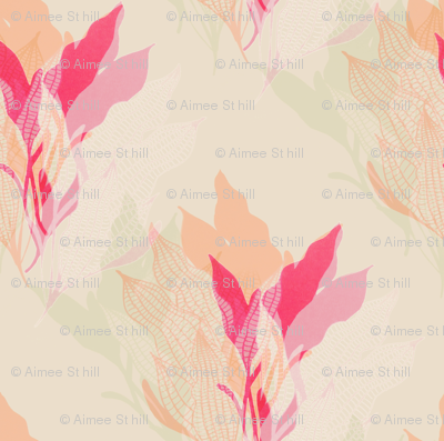 Coral