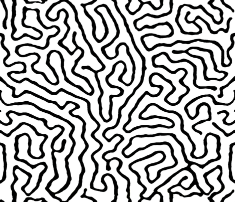 optical01
