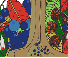 Rlinen_cotton_2013_comment_219361_preview