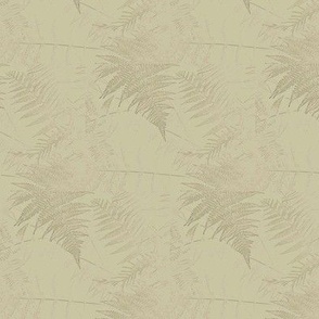 f19c__fern