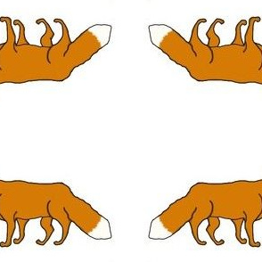 Fox Trot