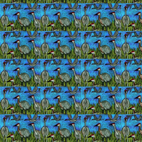 sandhill cranes