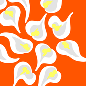 DANCING CALLA LILY