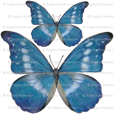 15x15_Blue_Butterfly_Decal