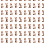 Kitteneatting_shark_shop_thumb