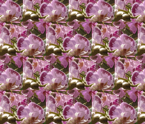 She Wore Pink Orchids fabric by susaninparis on Spoonflower - custom fabric