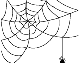 Rspiderweb1_thumb