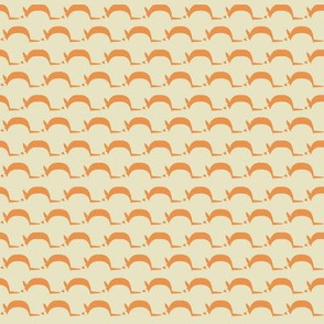 Armadillo Curves