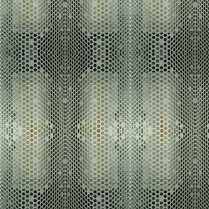 Space Lace