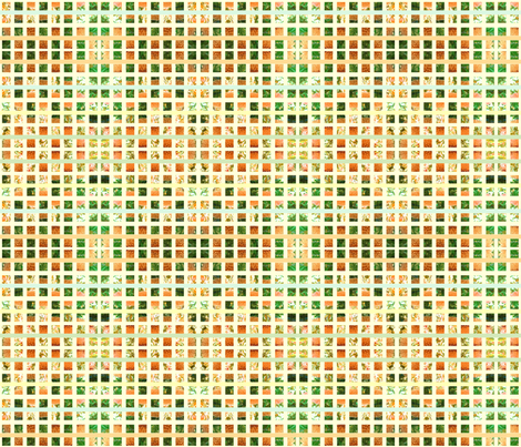 banksia squares