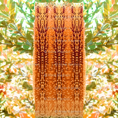 banksia_screen