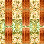 Rrbanksia_screen_shop_thumb