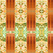 banksia_screen