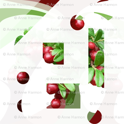 berries