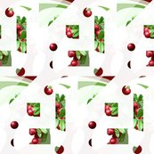 Rrberries_shop_thumb