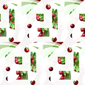 berries