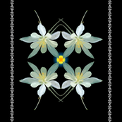 columbine