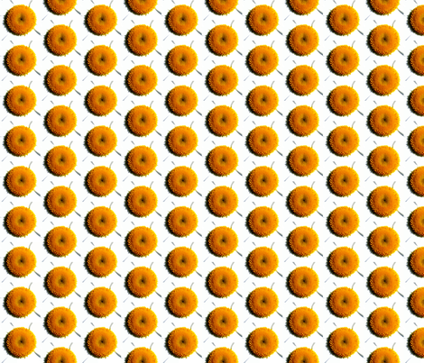 daisy_center fabric by bosun on Spoonflower - custom fabric