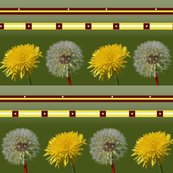 Rrdandelions_shop_thumb