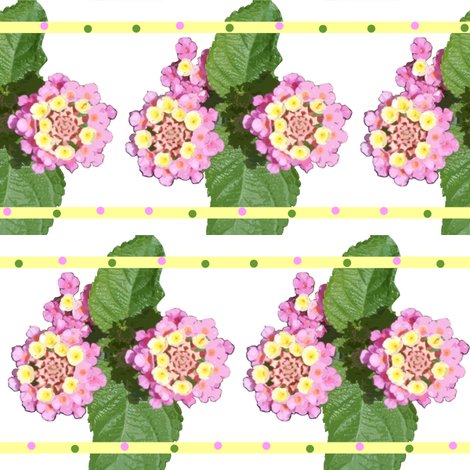 Rrlantana_shop_preview