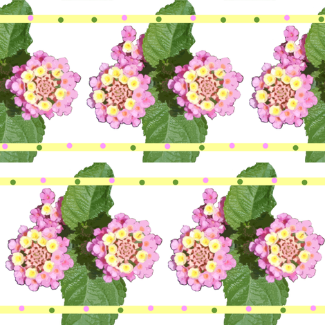 lantana fabric by bosun on Spoonflower - custom fabric