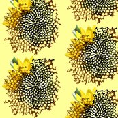Rrsunflower_swirl_shadows_shop_thumb