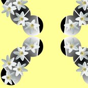 Rrwhite_flowers_shop_thumb