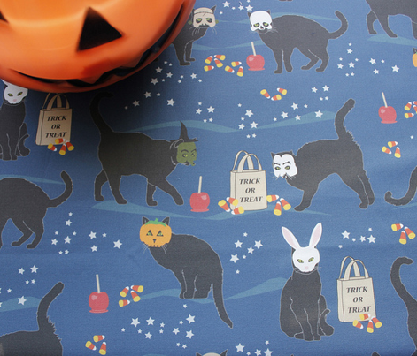 Black cats in masks
