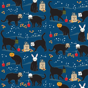 Black cats in masks
