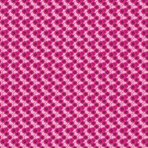 Pink Flowers