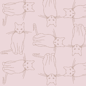 kitties