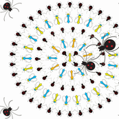 Spider versus Fly