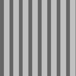 Moon Boot Stripe