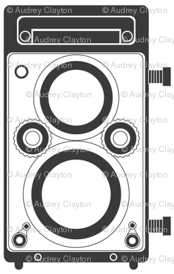 Gray Twin Lens Reflex
