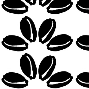 cowrie quattro