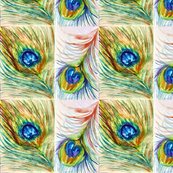 Peacock_2_shop_thumb