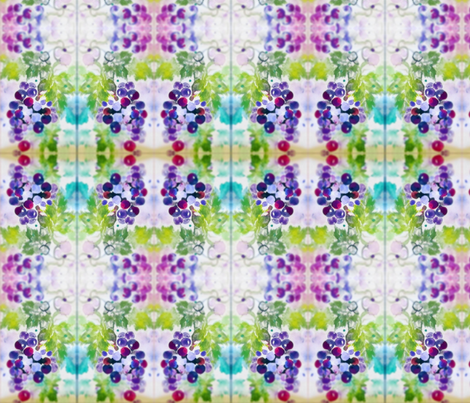 Grapes_Reg_Soft_ed