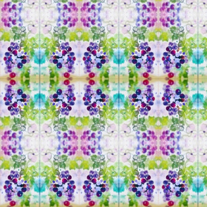 Grapes_Reg_Soft_ed