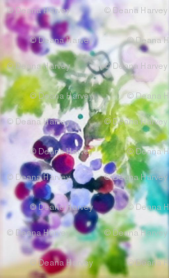 Grapes_Reg_Soft-ed