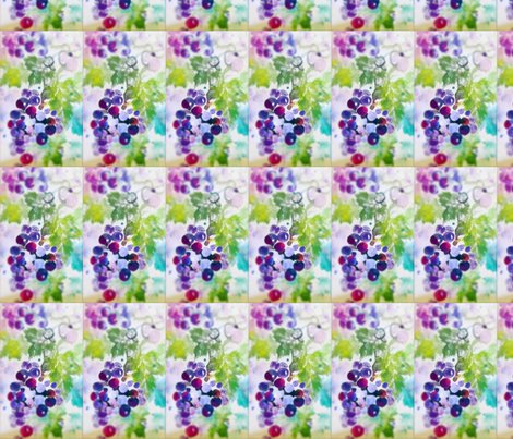 Grapes_reg_soft_ed_shop_preview