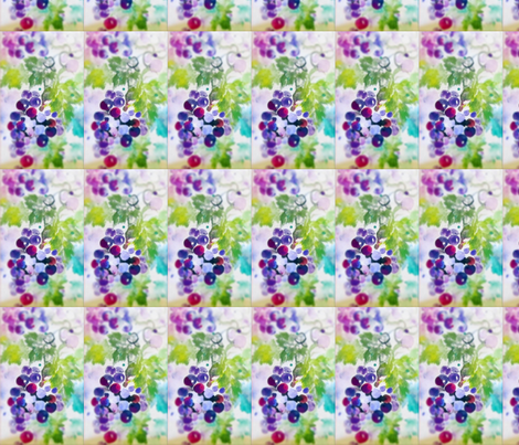 Grapes_Reg_Soft-ed