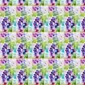 Grapes_reg_soft_ed_shop_thumb