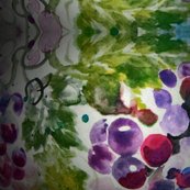 Rgrapes_vignette_shop_thumb