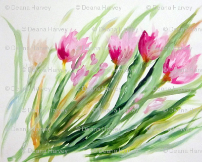 Tulips_Swaying