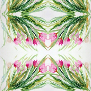 Tulips_Swaying