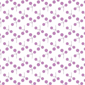 lilac berries on white